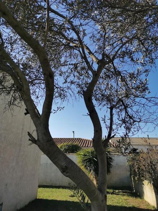 Belle villa de 90m2 au calme avec jardin et parking à 10 mn de la mer en voiture Fos-sur-Mer Esterno foto